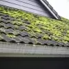 Remove Mold, Moss, and Mildew From Your Roof